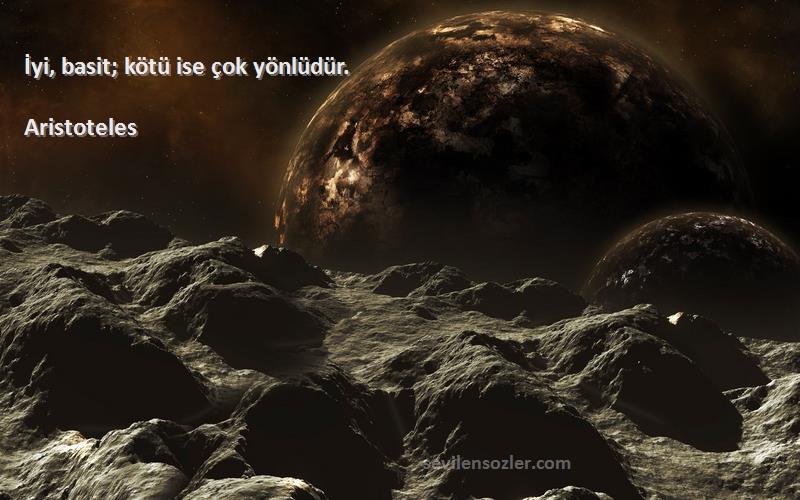 Aristoteles - İyi, basit; kötü ise çok yönlüdür.