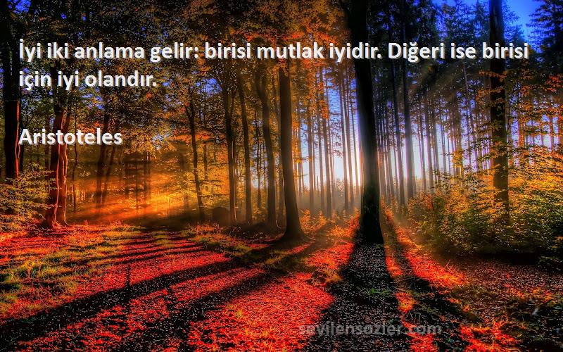 Aristoteles - İyi iki anlama gelir: birisi mutlak iyidir. Diğeri ise birisi için iyi olandır.