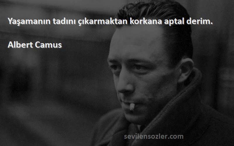 Albert Camus - Yaşamanın tadını çıkarmaktan korkana aptal derim.