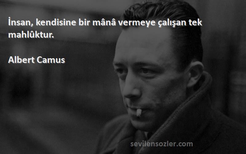 Albert Camus - İnsan, kendisine bir mânâ vermeye çalışan tek mahlûktur.