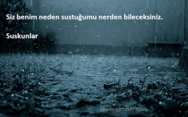 Suskunlar - Siz benim neden sustuğumu nerden bileceksiniz.