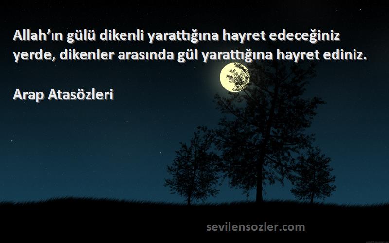 Arap Atasözleri Sözleri 
Allah’ın gülü dikenli yarattığına hayret edeceğiniz yerde, dikenler arasında gül yarattığına hayret ediniz.