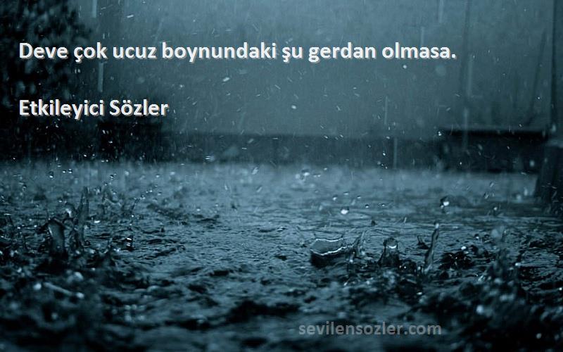 Etkileyici Sözler - Deve çok ucuz boynundaki şu gerdan olmasa.