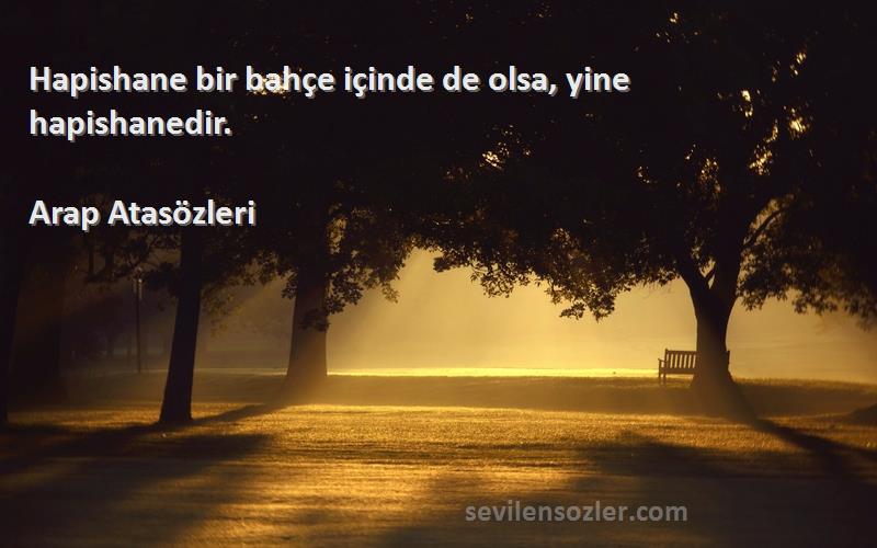 Arap Atasözleri Sözleri 
Hapishane bir bahçe içinde de olsa, yine hapishanedir.