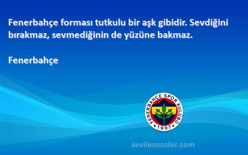 Fenerbahçe Sözleri 
Fenerbahçe forması tutkulu bir aşk gibidir. Sevdiğini bırakmaz, sevmediğinin de yüzüne bakmaz.