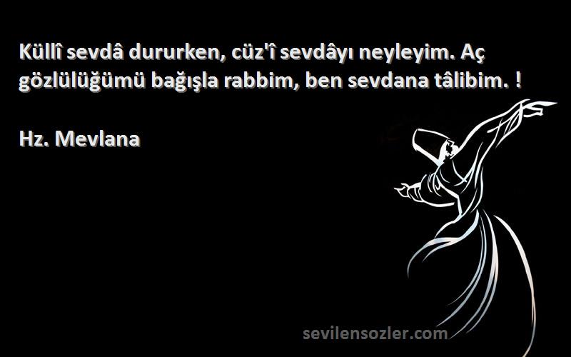 Hz. Mevlana - Küllî sevdâ dururken, cüz'î sevdâyı neyleyim. Aç gözlülüğümü bağışla rabbim, ben sevdana tâlibim. !