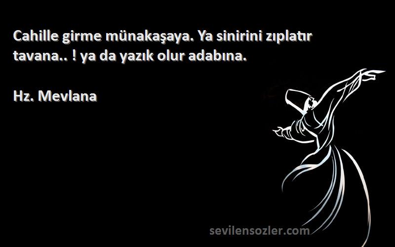 Hz. Mevlana - Cahille girme münakaşaya. Ya sinirini zıplatır tavana.. ! ya da yazık olur adabına.