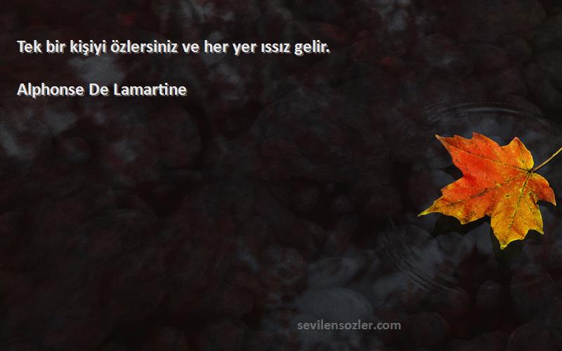 Alphonse De Lamartine Sözleri 
Tek bir kişiyi özlersiniz ve her yer ıssız gelir.