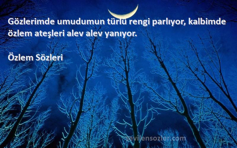 Özlem  Sözleri 
Gözlerimde umudumun türlü rengi parlıyor, kalbimde özlem ateşleri alev alev yanıyor.