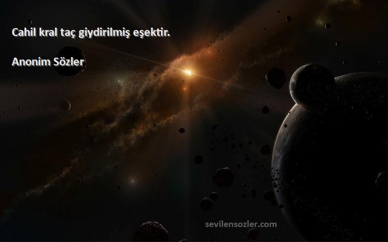 Anonim Sözler - Cahil kral taç giydirilmiş eşektir.