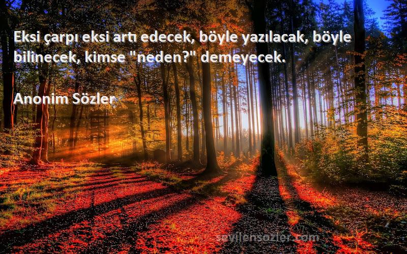 Anonim Sözler - Eksi çarpı eksi artı edecek, böyle yazılacak, böyle bilinecek, kimse neden? demeyecek.