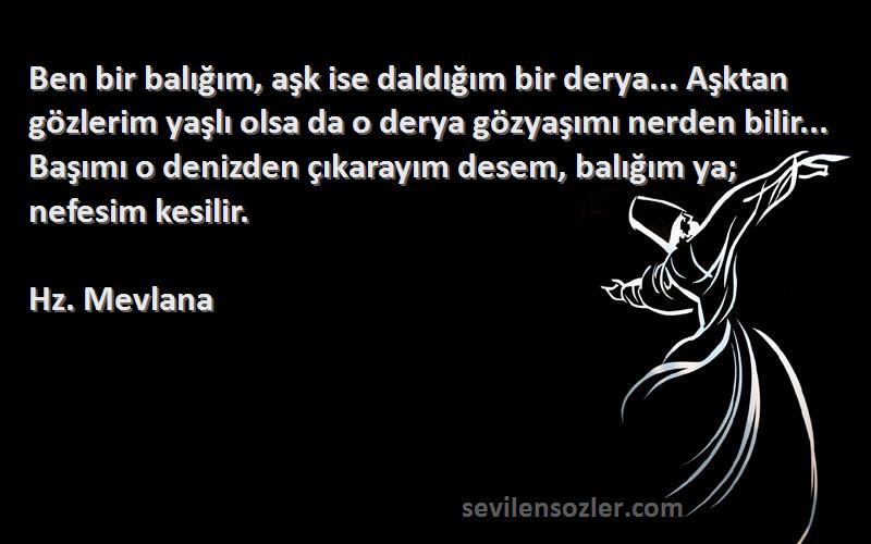 Hz. Mevlana Sözleri 
Ben bir balığım, aşk ise daldığım bir derya... Aşktan gözlerim yaşlı olsa da o derya gözyaşımı nerden bilir... Başımı o denizden çıkarayım desem, balığım ya; nefesim kesilir.