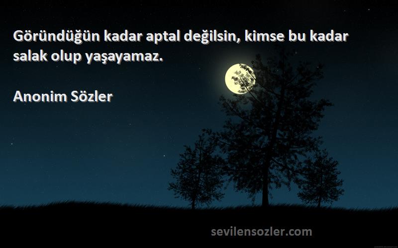 Anonim Sözler - Göründüğün kadar aptal değilsin, kimse bu kadar salak olup yaşayamaz.