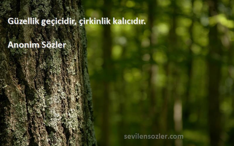 Anonim Sözler - Güzellik geçicidir, çirkinlik kalıcıdır.