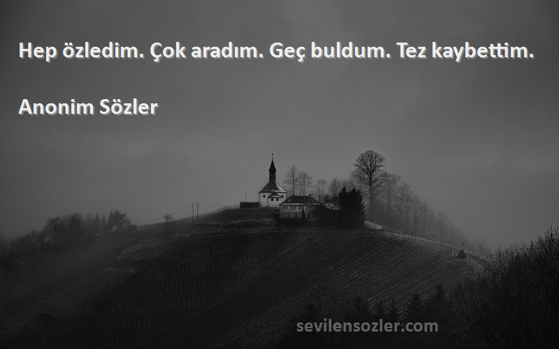 Anonim Sözler - Hep özledim. Çok aradım. Geç buldum. Tez kaybettim.