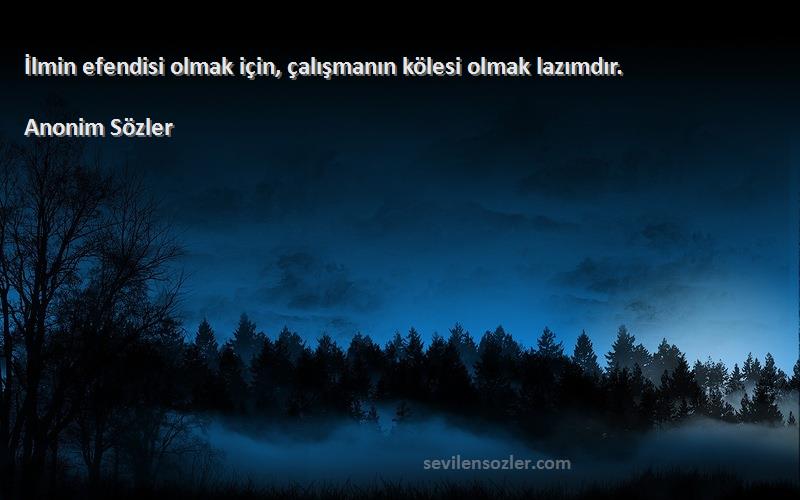 Anonim Sözler - İlmin efendisi olmak için, çalışmanın kölesi olmak lazımdır.