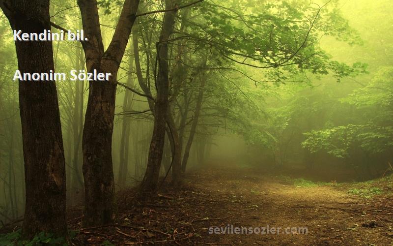 Anonim Sözler - Kendini bil.