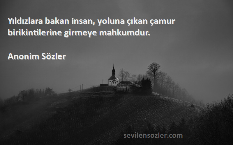 Anonim Sözler Sözleri 
Yıldızlara bakan insan, yoluna çıkan çamur birikintilerine girmeye mahkumdur.