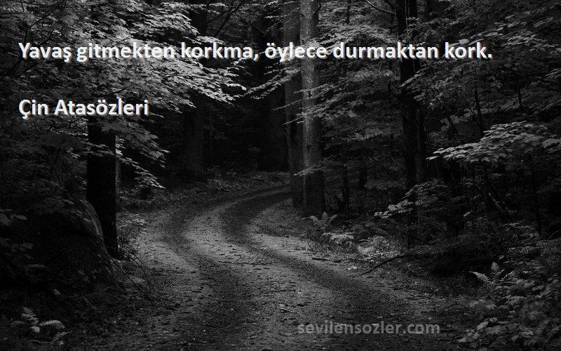 Çin Atasözleri - Yavaş gitmekten korkma, öylece durmaktan kork.