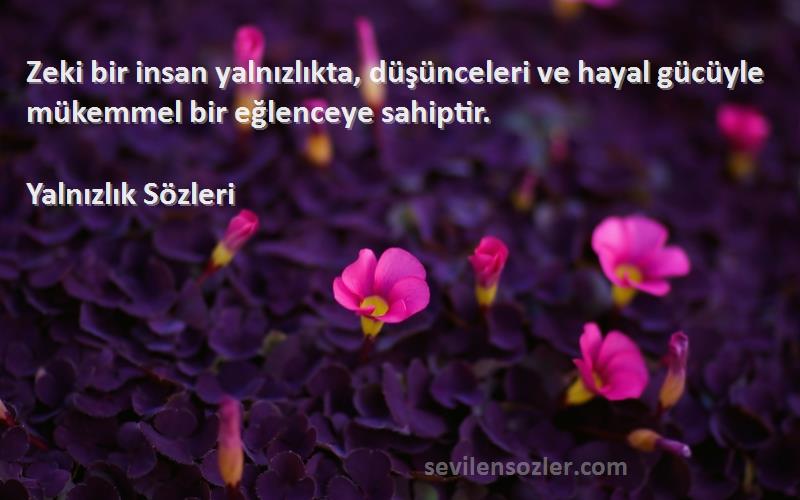 Yalnızlık  - Zeki bir insan yalnızlıkta, düşünceleri ve hayal gücüyle mükemmel bir eğlenceye sahiptir.