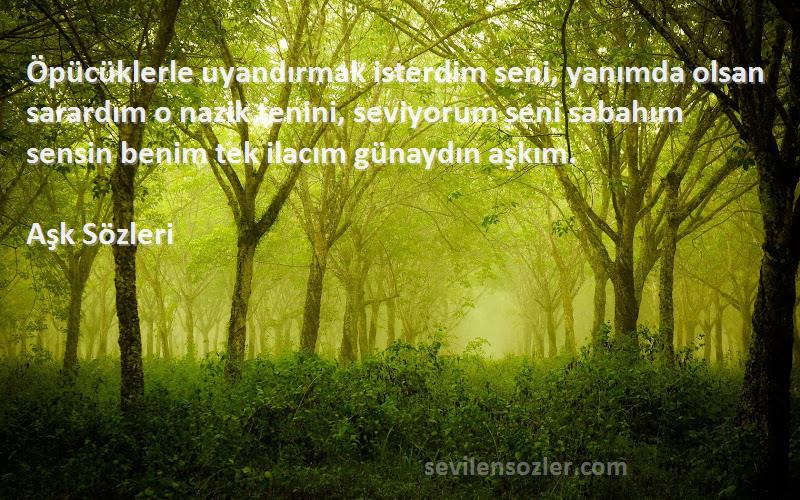 Aşk  Sözleri 
Öpücüklerle uyandırmak isterdim seni, yanımda olsan sarardım o nazik tenini, seviyorum seni sabahım sensin benim tek ilacım günaydın aşkım.