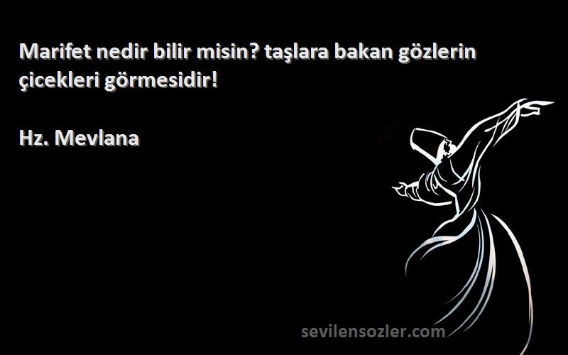 Hz. Mevlana Sözleri 
Marifet nedir bilir misin? taşlara bakan gözlerin çicekleri görmesidir!