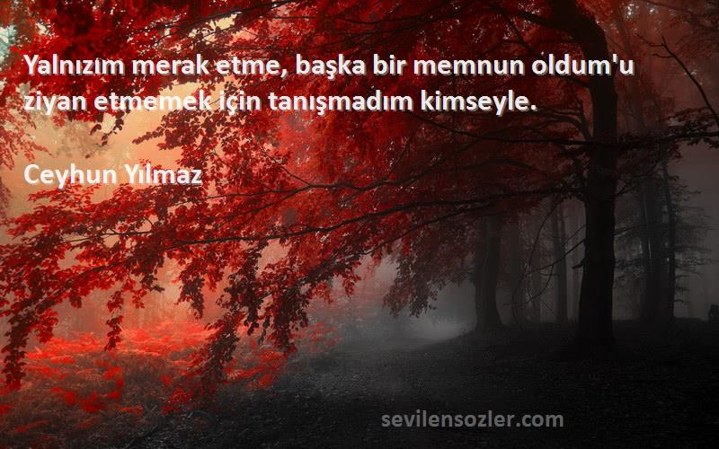 Ceyhun Yılmaz - Yalnızım merak etme, başka bir memnun oldum'u ziyan etmemek için tanışmadım kimseyle.