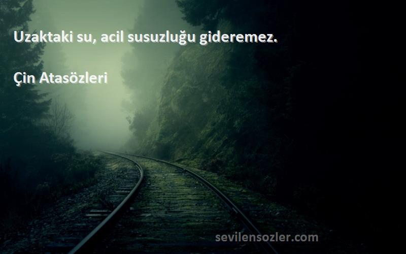 Çin Atasözleri - Uzaktaki su, acil susuzluğu gideremez.