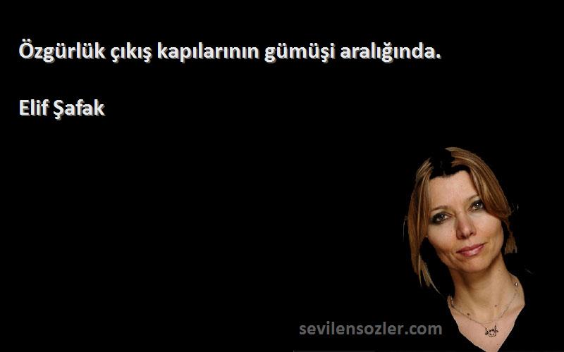 Elif Şafak - Özgürlük çıkış kapılarının gümüşi aralığında.