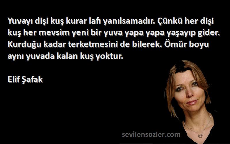 Elif Şafak Sözleri 
Yuvayı dişi kuş kurar lafı yanılsamadır. Çünkü her dişi kuş her mevsim yeni bir yuva yapa yapa yaşayıp gider. Kurduğu kadar terketmesini de bilerek. Ömür boyu aynı yuvada kalan kuş yoktur.