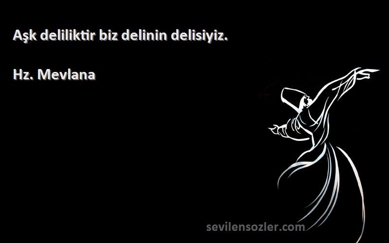 Hz. Mevlana - Aşk deliliktir biz delinin delisiyiz.