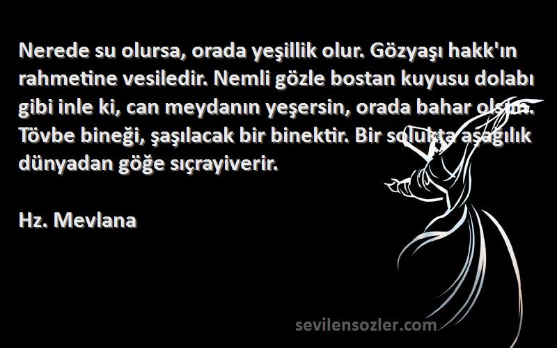 Hz. Mevlana Sözleri 
Nerede su olursa, orada yeşillik olur. Gözyaşı hakk'ın rahmetine vesiledir. Nemli gözle bostan kuyusu dolabı gibi inle ki, can meydanın yeşersin, orada bahar olsun. Tövbe bineği, şaşılacak bir binektir. Bir solukta aşağılık dünyadan göğe sıçrayiverir.