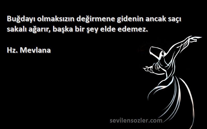 Hz. Mevlana - Buğdayı olmaksızın değirmene gidenin ancak saçı sakalı ağarır, başka bir şey elde edemez.