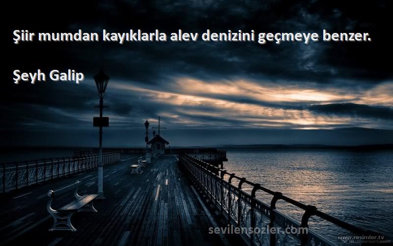 Şeyh Galip Sözleri 
Şiir mumdan kayıklarla alev denizini geçmeye benzer.
