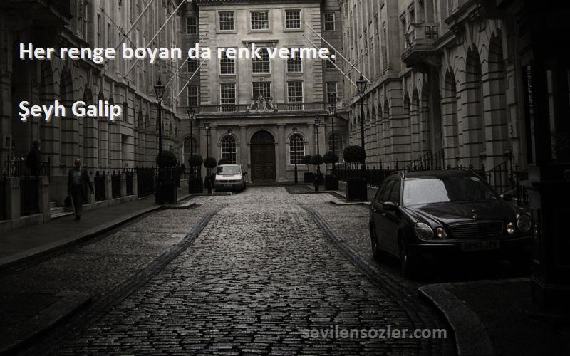 Şeyh Galip Sözleri 
Her renge boyan da renk verme.