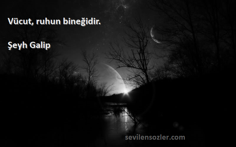 Şeyh Galip Sözleri 
Vücut, ruhun bineğidir.