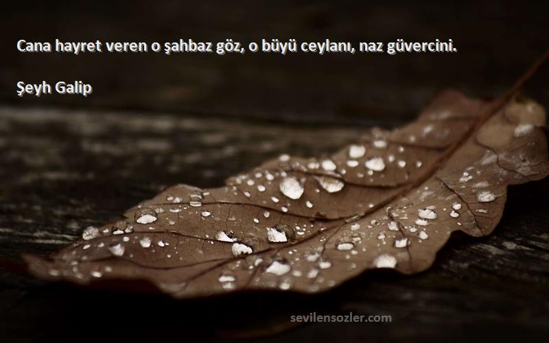 Şeyh Galip Sözleri 
Cana hayret veren o şahbaz göz, o büyü ceylanı, naz güvercini.