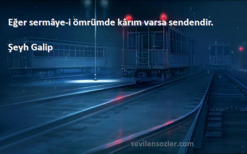 Şeyh Galip Sözleri 
Eğer sermâye-i ömrümde kârım varsa sendendir.