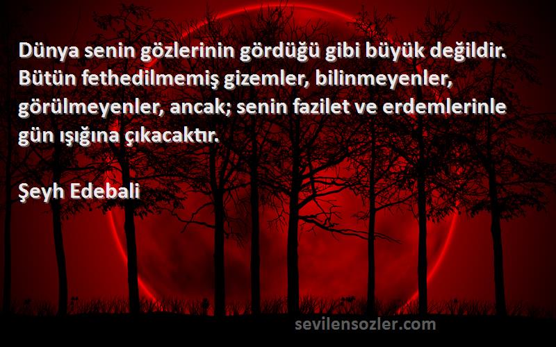 Şeyh Edebali Sözleri 
Dünya senin gözlerinin gördüğü gibi büyük değildir. Bütün fethedilmemiş gizemler, bilinmeyenler, görülmeyenler, ancak; senin fazilet ve erdemlerinle gün ışığına çıkacaktır.