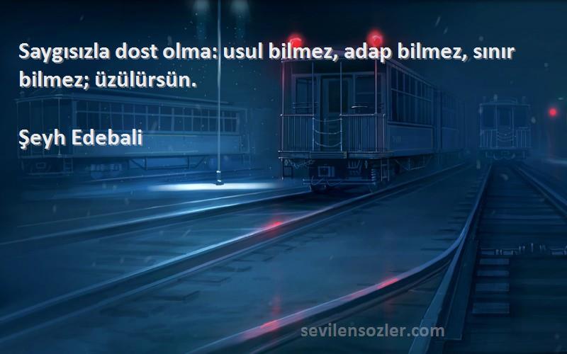 Şeyh Edebali - Saygısızla dost olma: usul bilmez, adap bilmez, sınır bilmez; üzülürsün.