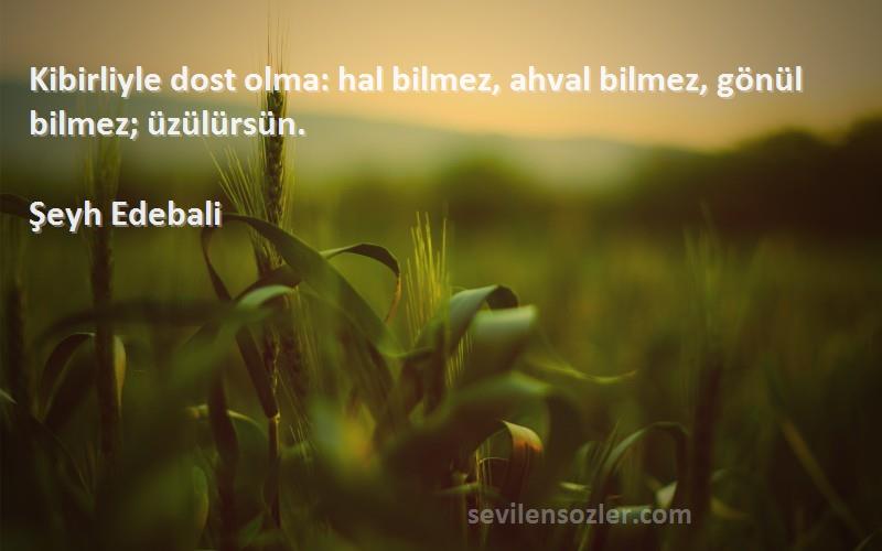 Şeyh Edebali - Kibirliyle dost olma: hal bilmez, ahval bilmez, gönül bilmez; üzülürsün.
