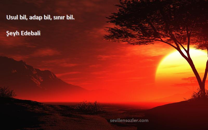 Şeyh Edebali - Usul bil, adap bil, sınır bil.