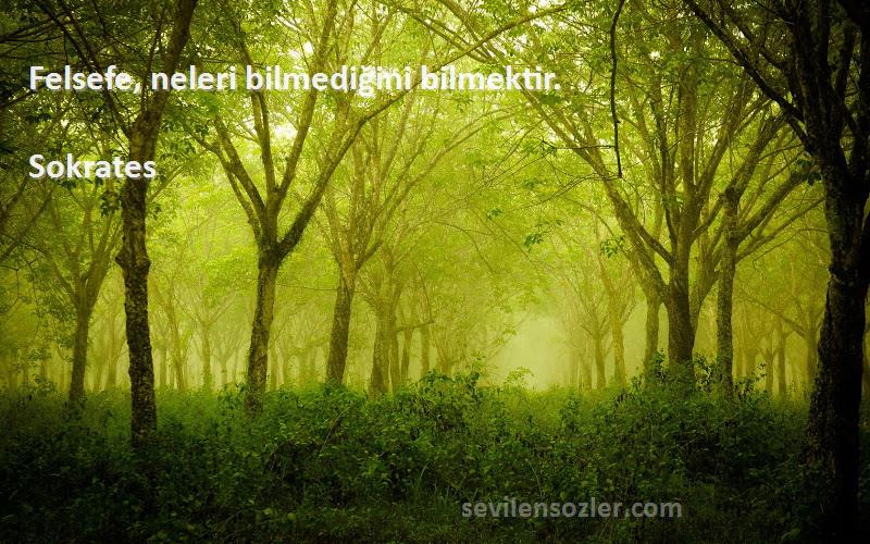 Sokrates - Felsefe, neleri bilmediğini bilmektir.