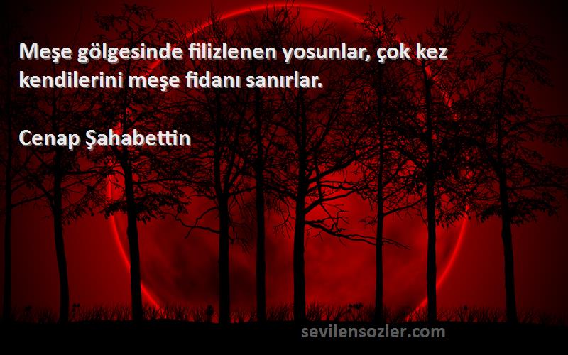 Cenap Şahabettin - Meşe gölgesinde filizlenen yosunlar, çok kez kendilerini meşe fidanı sanırlar.