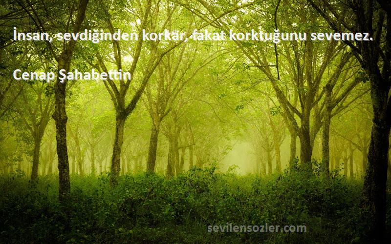 Cenap Şahabettin - İnsan, sevdiğinden korkar, fakat korktuğunu sevemez.