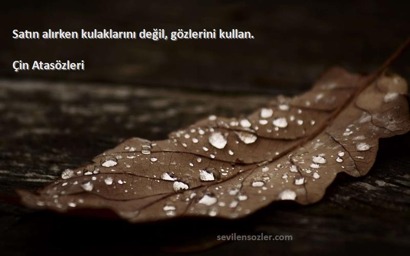 Çin Atasözleri - Satın alırken kulaklarını değil, gözlerini kullan.