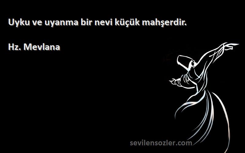 Hz. Mevlana - Uyku ve uyanma bir nevi küçük mahşerdir.
