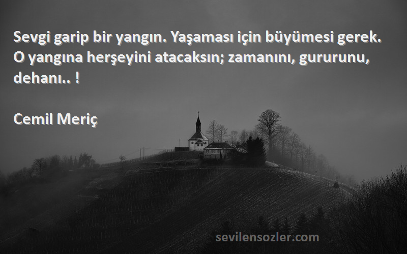 Cemil Meriç Sözleri 
Sevgi garip bir yangın. Yaşaması için büyümesi gerek. O yangına herşeyini atacaksın; zamanını, gururunu, dehanı.. !