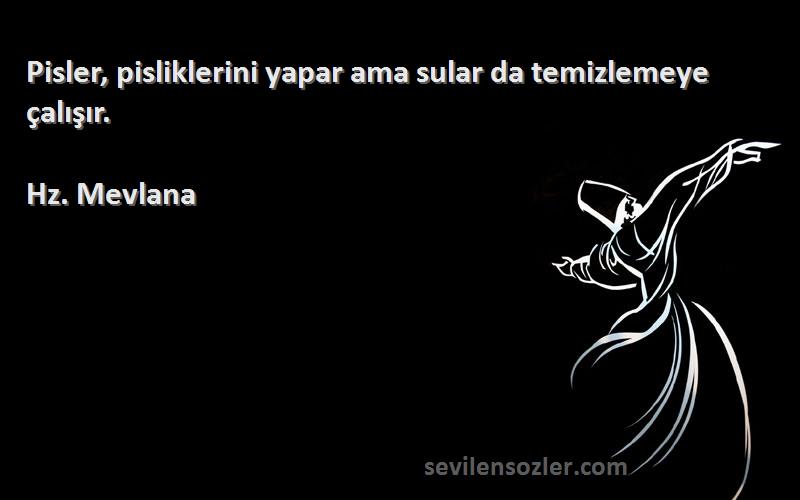 Hz. Mevlana - Pisler, pisliklerini yapar ama sular da temizlemeye çalışır.