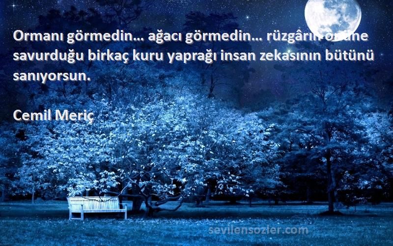 Cemil Meriç Sözleri 
Ormanı görmedin… ağacı görmedin… rüzgârın önüne savurduğu birkaç kuru yaprağı insan zekasının bütünü sanıyorsun.